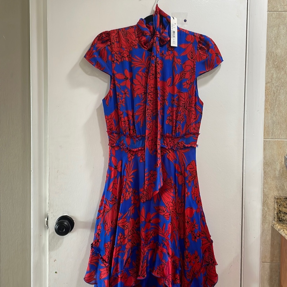 Alice & Olivia fancy floral high low dress
